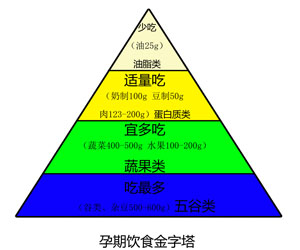 孕期饮食种类金字塔