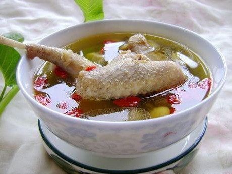 养生汤 鸽子汤的营养价值