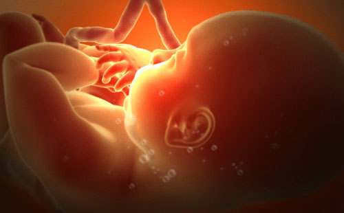 胎儿活动 怀孕四个月胎动情况