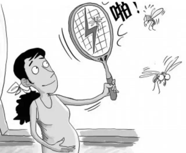 夏季孕妇应如何对抗蚊子?
