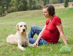 孕前保健 优生优育远离宠物