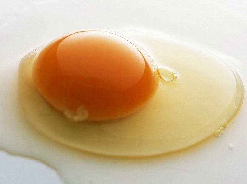 天天吃鸡蛋 死亡率竟然高达22%