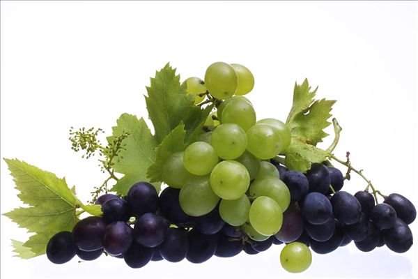 健康提醒：孕妇请慎吃葡萄