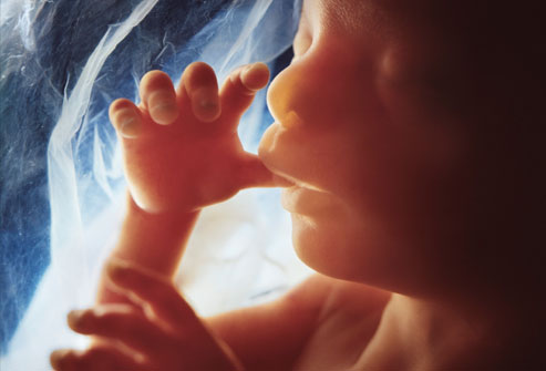 孕期胎儿发育 怀孕32周胎儿大小