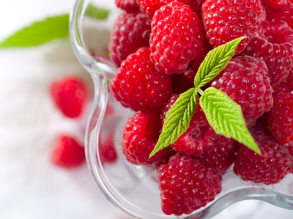 吃树莓可以增加受孕几率