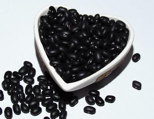 黑豆可以帮助女性更容易怀孕