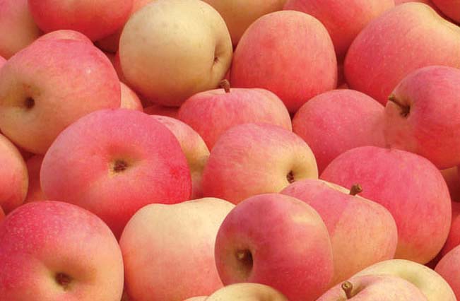 秋季儿童应该多吃“酸”水果？
