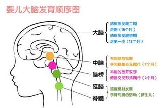 促进孩子大脑发育的八种营养素