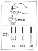 测孕纸多久能测出来