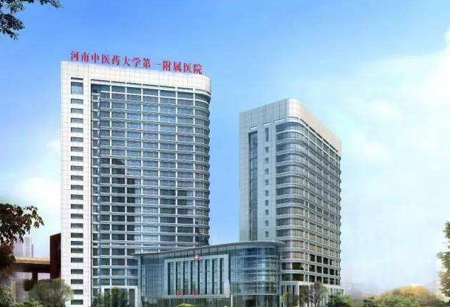 河南中医药大学第一附属医院